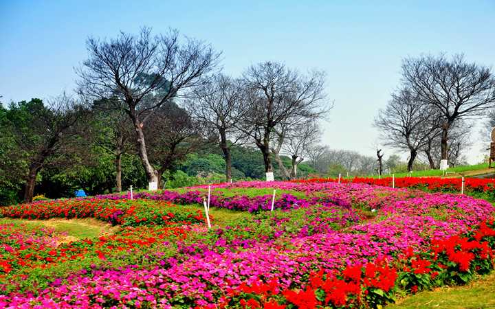 百花洲1.jpg