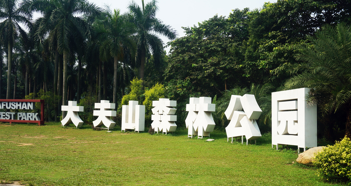 大夫山.jpg