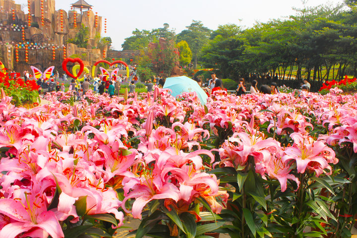 百花洲.jpg