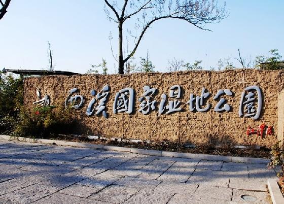 西溪湿地公园95875 (1).jpg