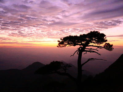 三清山11.jpg