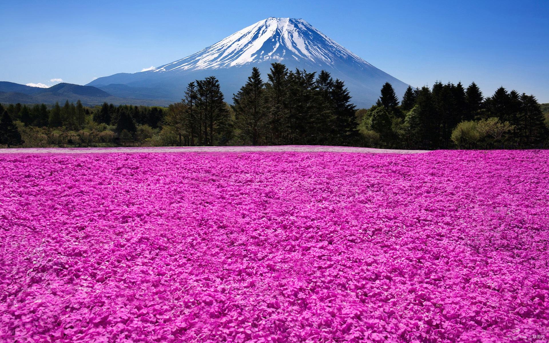 富士山4.jpg