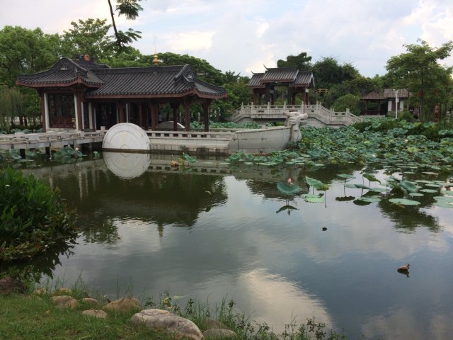 西湖惠州6.jpg